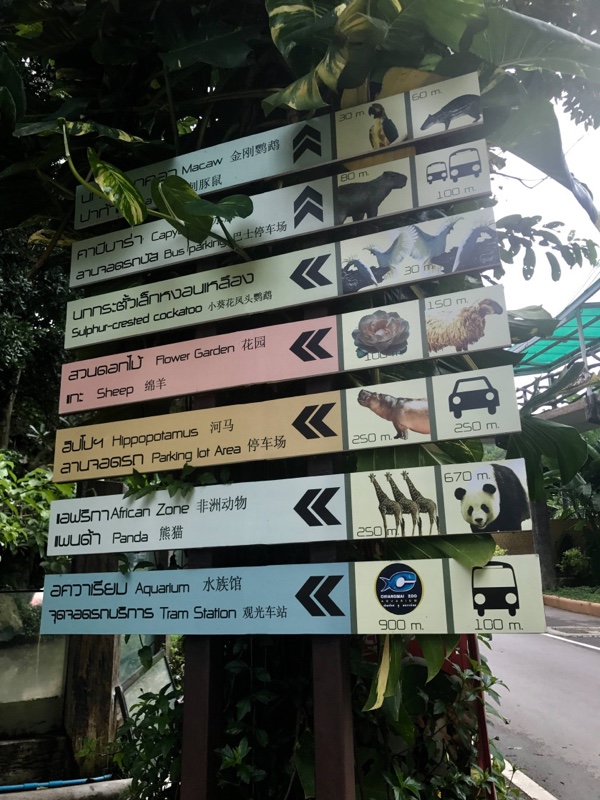 Budget travel in chiang mai thailand