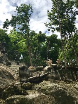 Budget travel in chiang mai thailand
