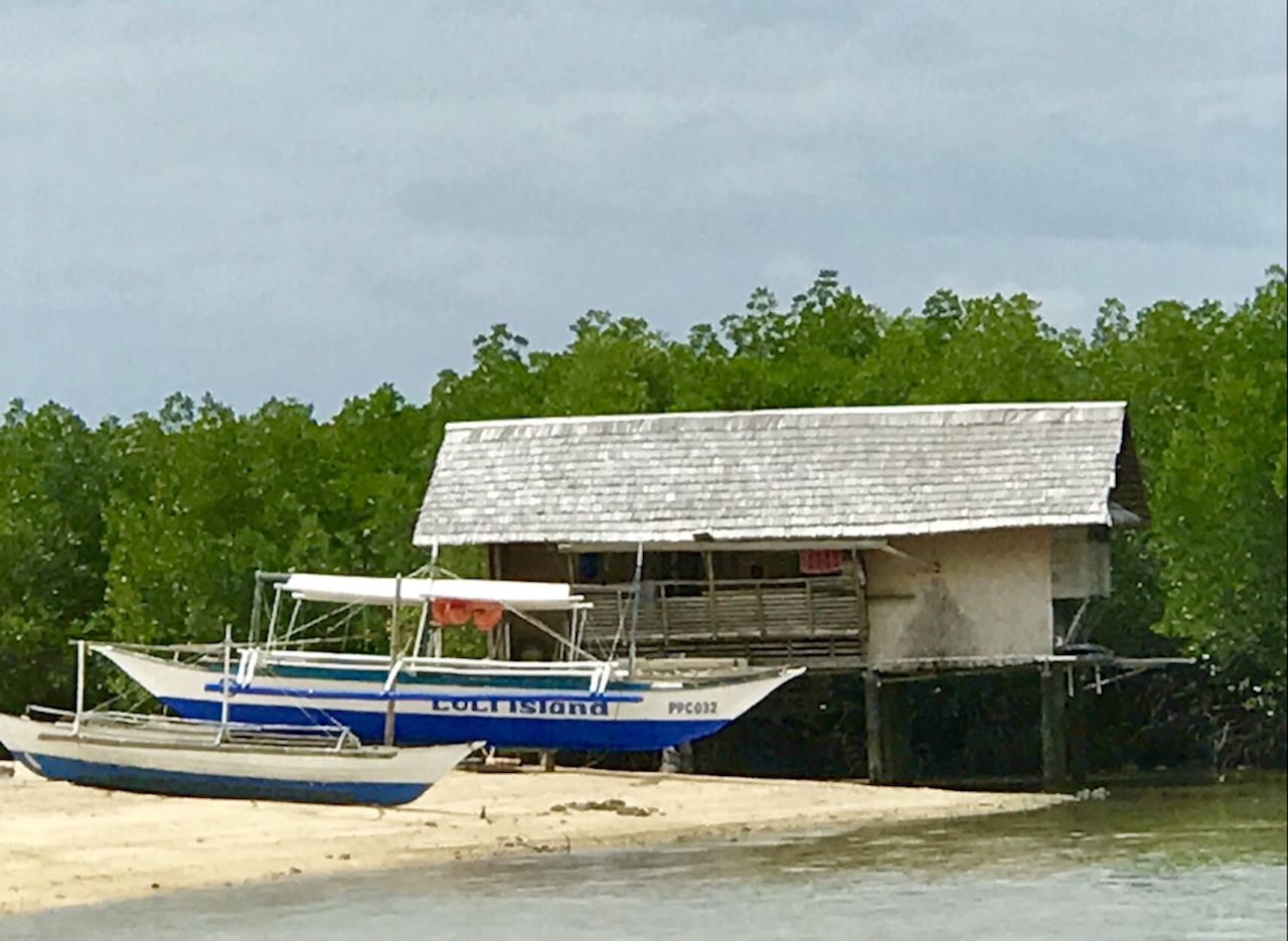 painting palawan philippines honda bay puerto princesa island hopping